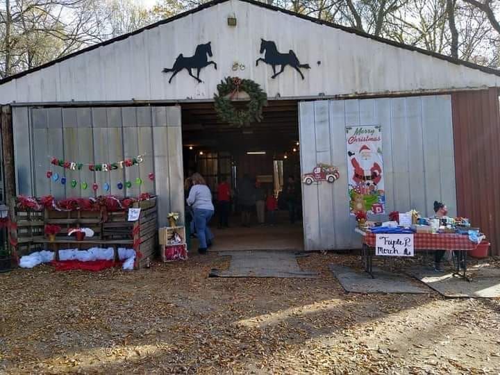 Winter Festival on the farm.