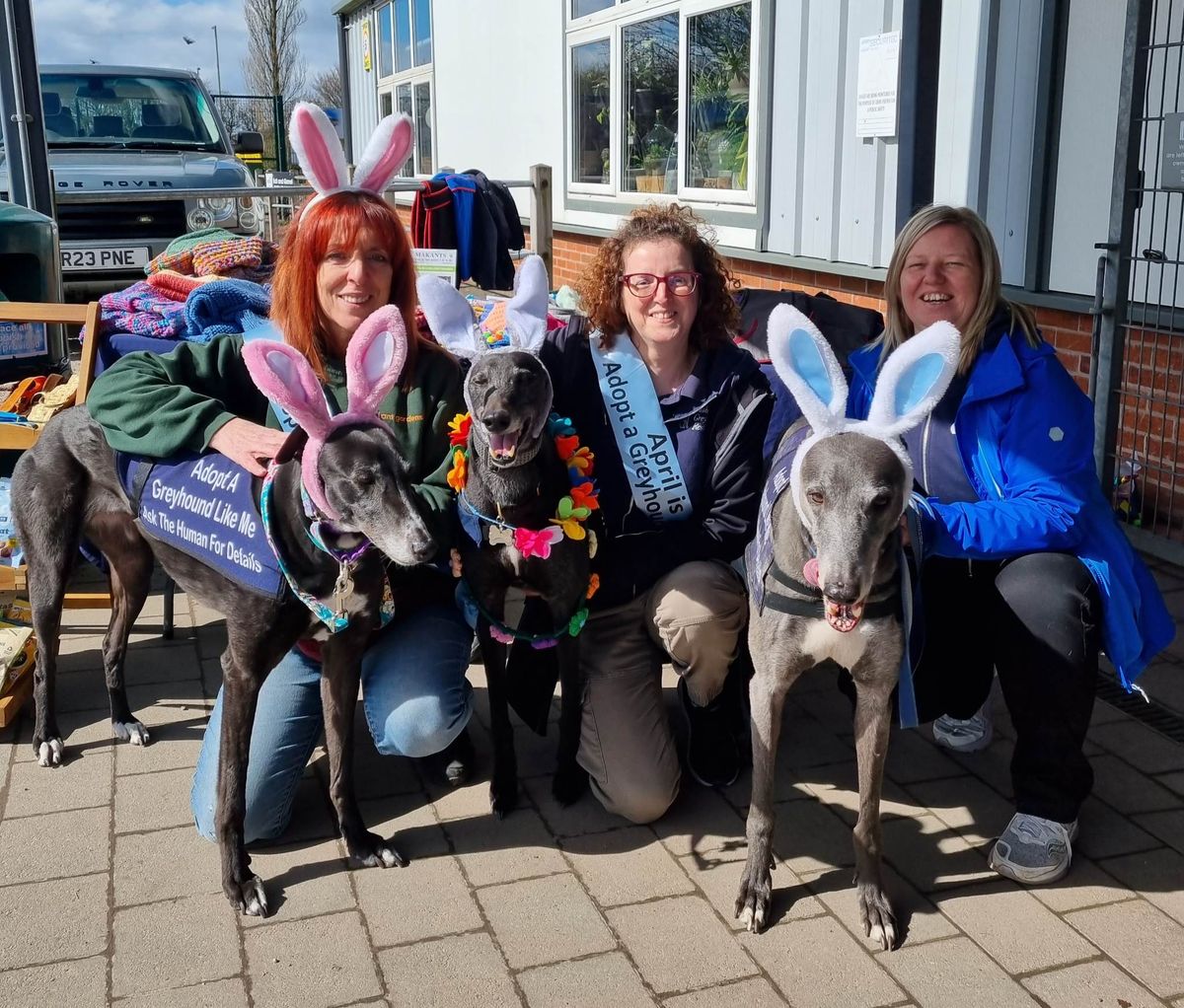 Fundraising and raising awareness of greyhounds as pets