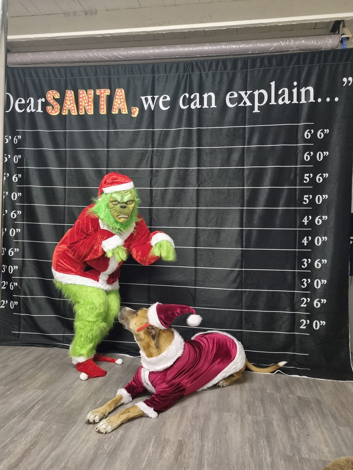 Christmas in July Petbarn Capalaba