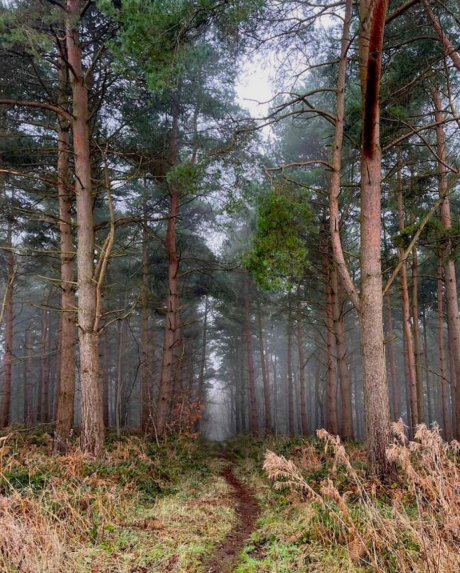 Coneysthorpe Circular Walk