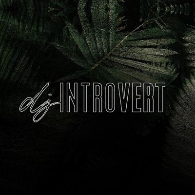 DJ Introvert