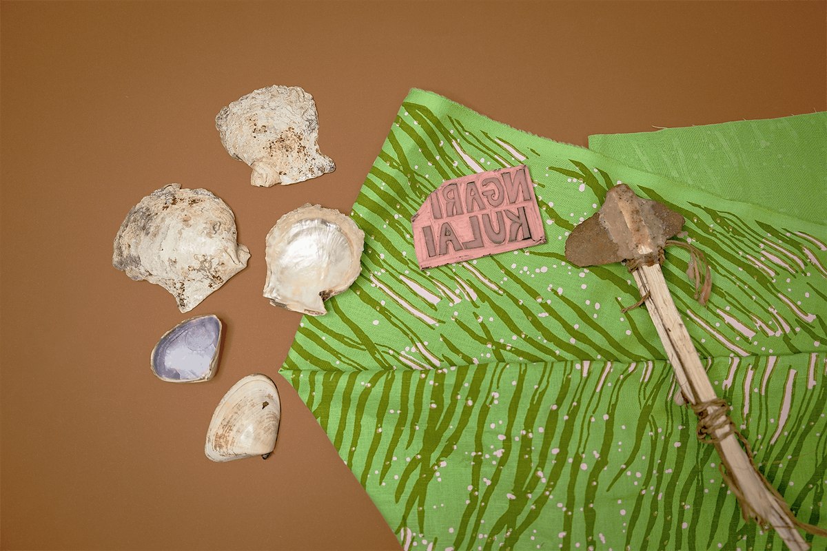 Magpie Goose: Young Explorers Tour