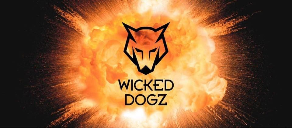 Wicked Dogz at The Magnesia Bank, North Tyneside