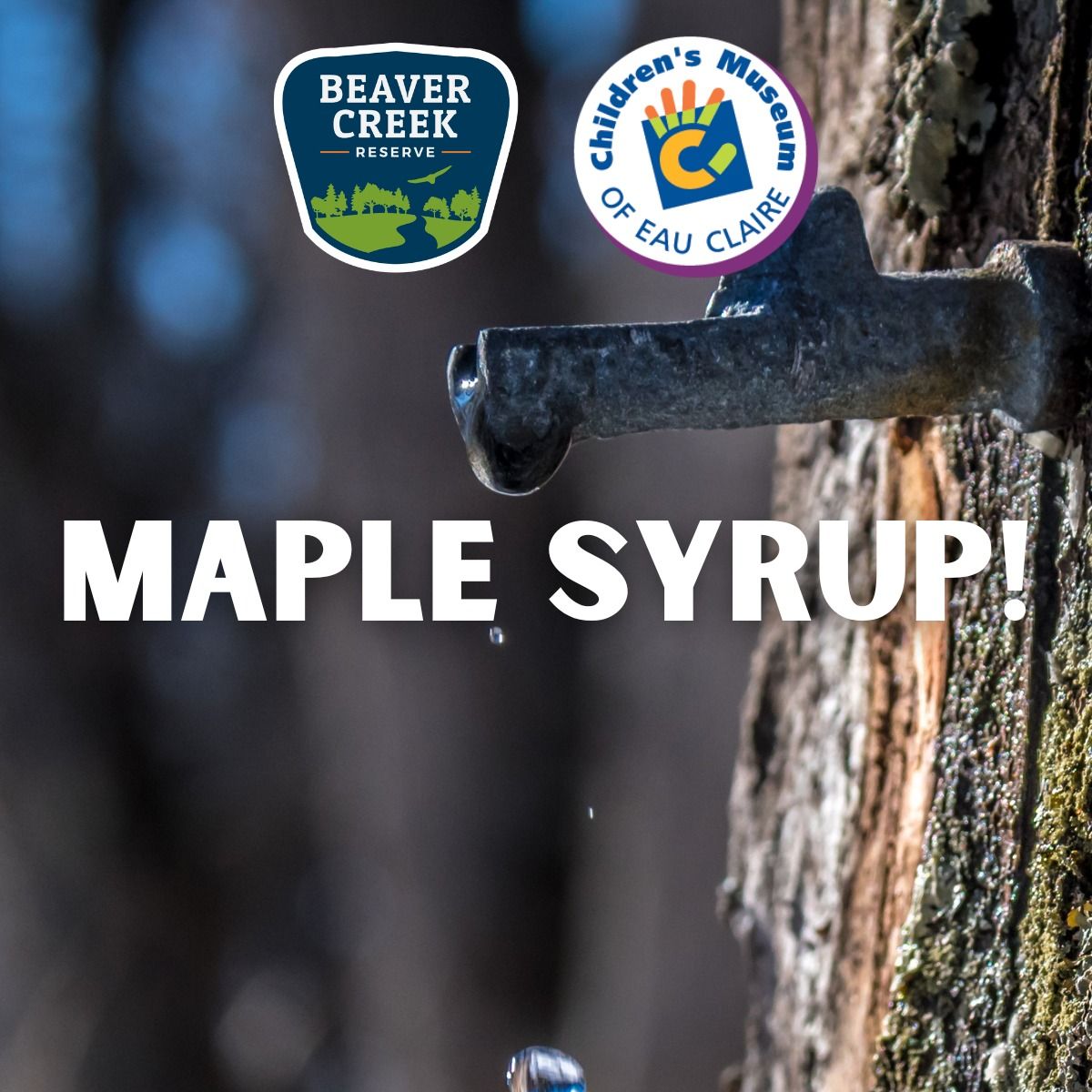 Family Nature Club: Maple Syrup!