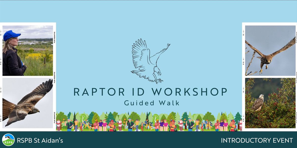 Raptor ID Workshop- RSPB St Aidan's