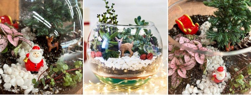 CHRISTMAS FAIRY GARDEN TERRARIUM WORKSHOP