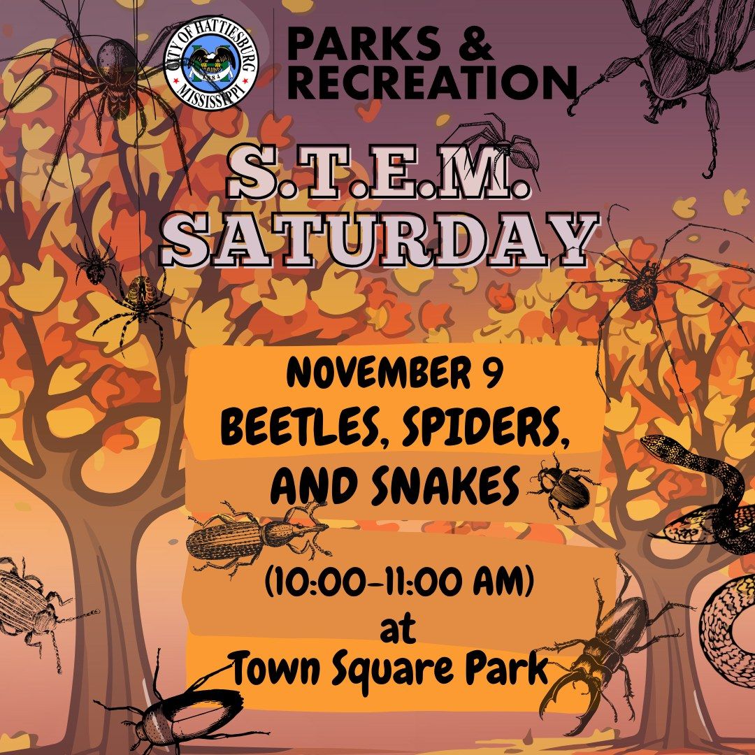 STEM Saturday - Beetles, Spiders & Snakes 