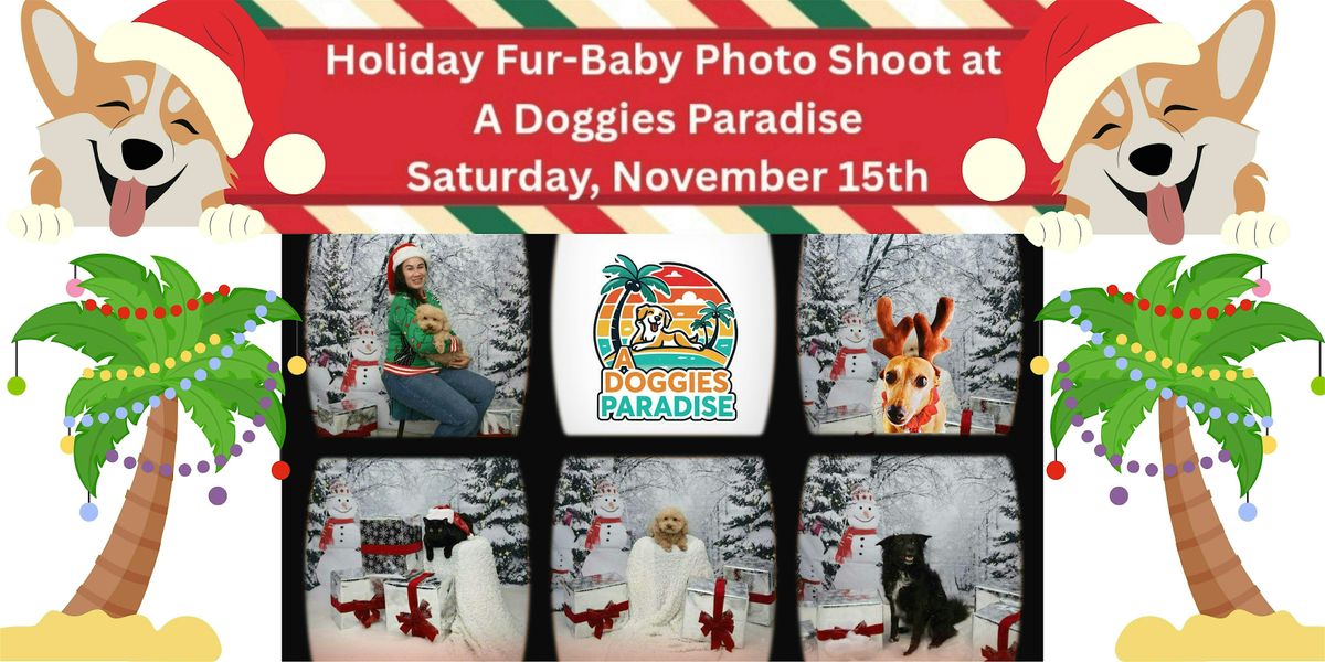 Holiday Fur-Baby Photos at A Doggies Paradise