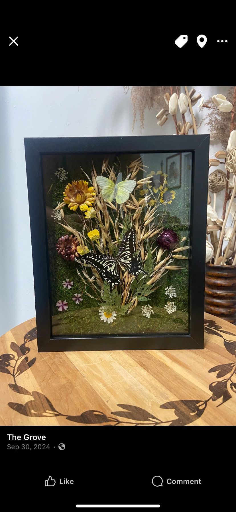 Butterfly Shadow Box 8x10 $50