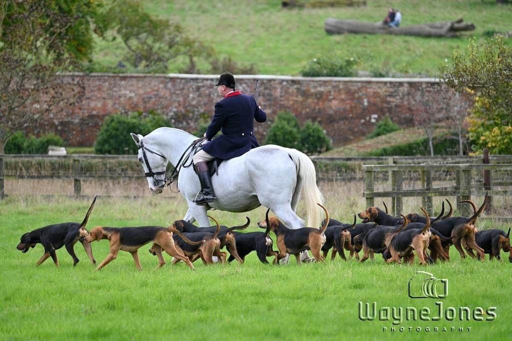 Hound Exercise at Avebury Trusloe 