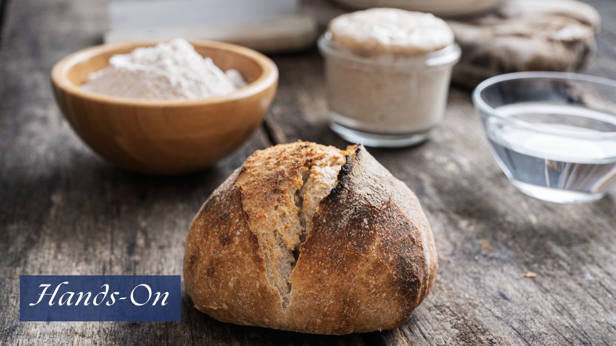 Sourdough Baking: From Starter to Loaf