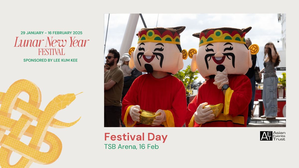 2025 Lunar New Year - Festival Day 