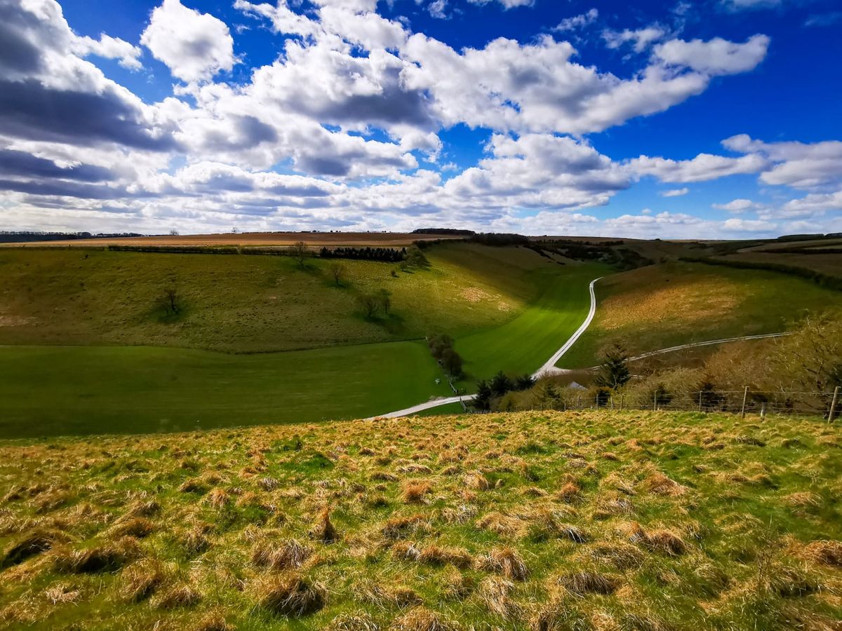 March Saturday Walk - Tour de Yorkshire Wolds  - 20 miles\/32km  