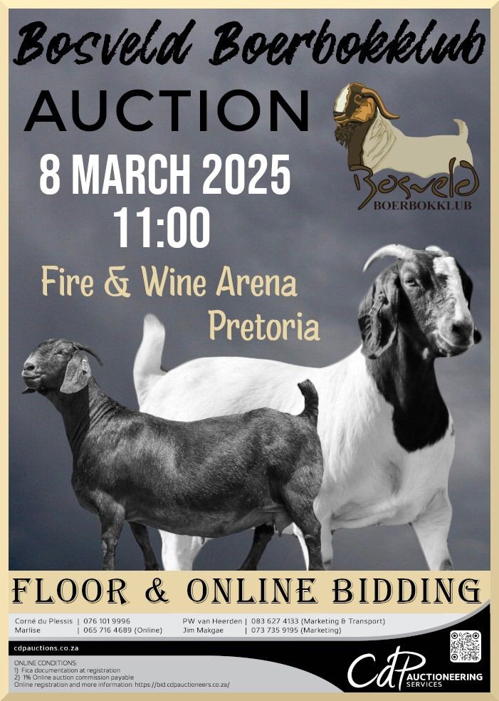 Bosveld Boerbok Klub Veiling-Auction. 