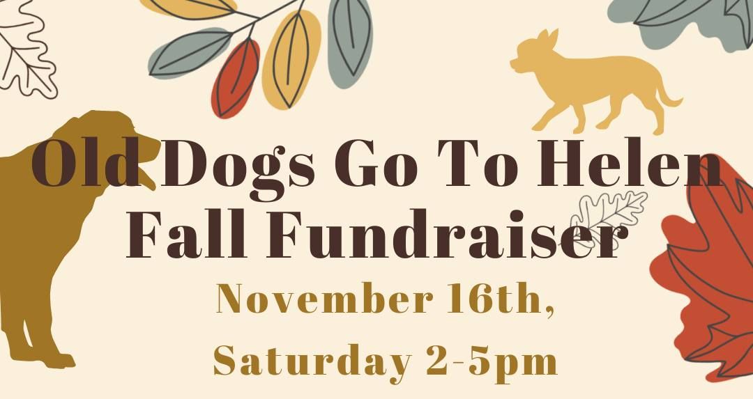 Old Dogs Go To Helen Fall Fundraiser 