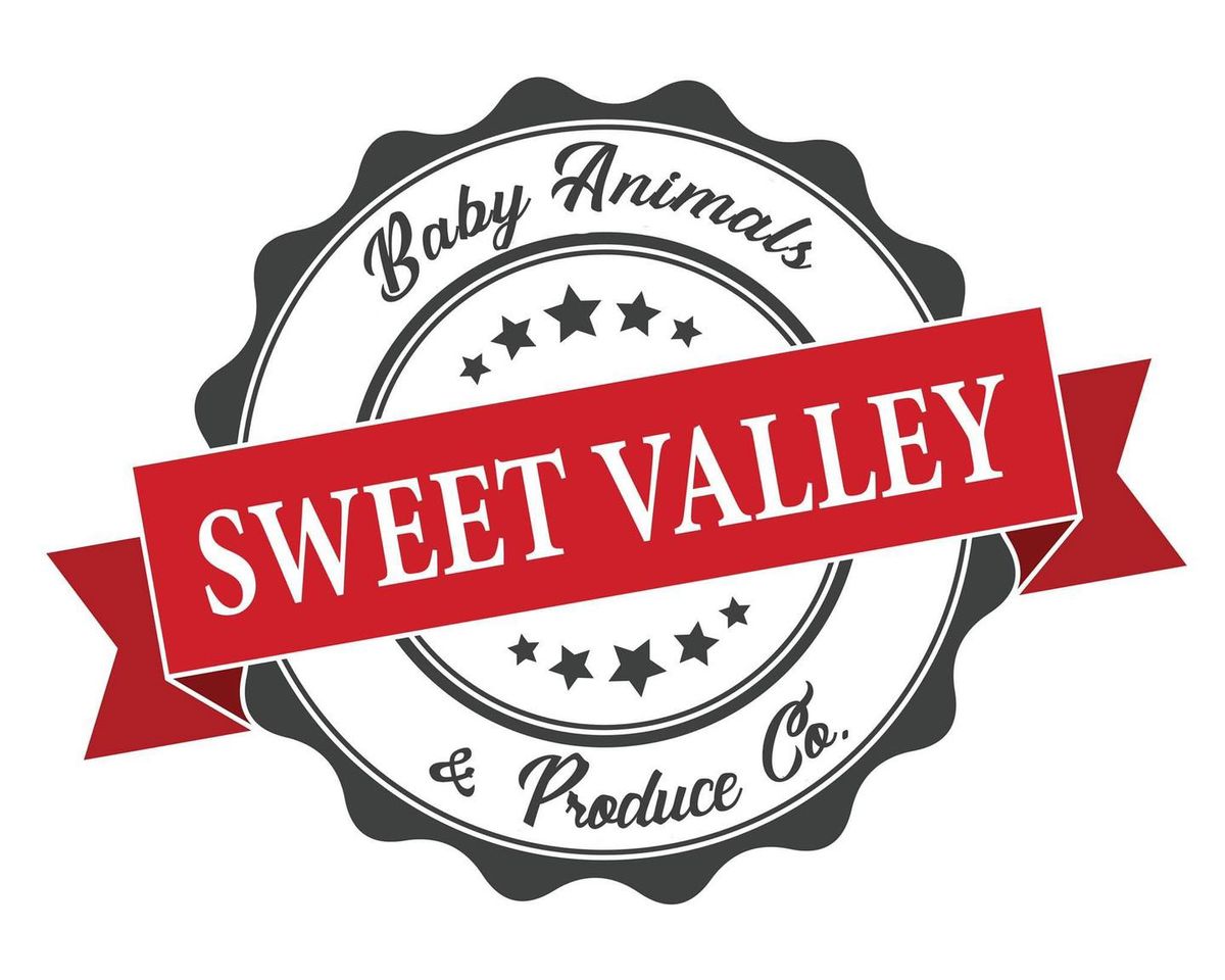 Sweet Valley Baby Animals Visit