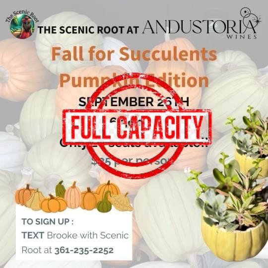 Fall for Succulents Pumpkin Edition 