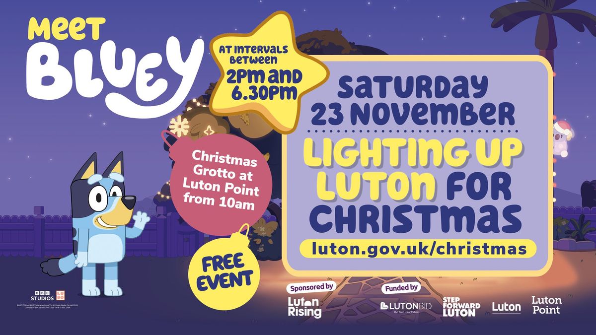 Lighting up Luton for Christmas 2024