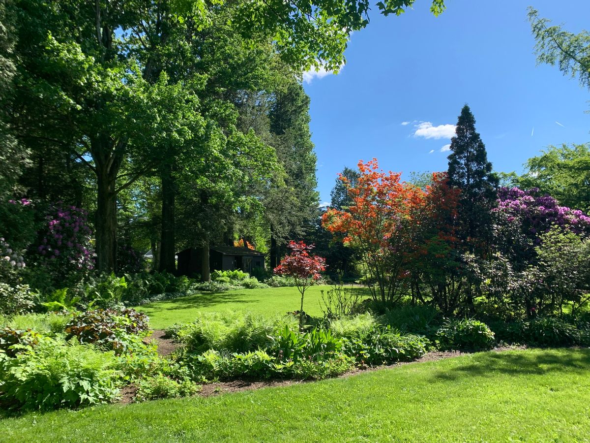 Along the Garden Path - Weekly Guided Tour