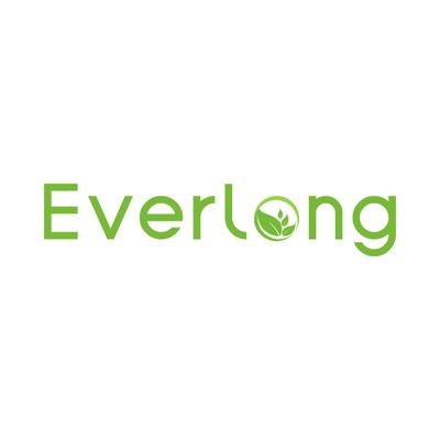 Everlong