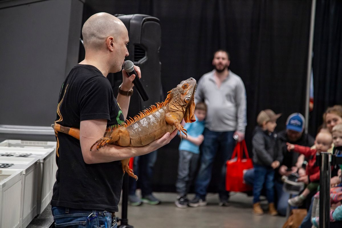 Live Insects and Reptiles with Bugs n Snakes @ the Spokane Great Outdoors Expo