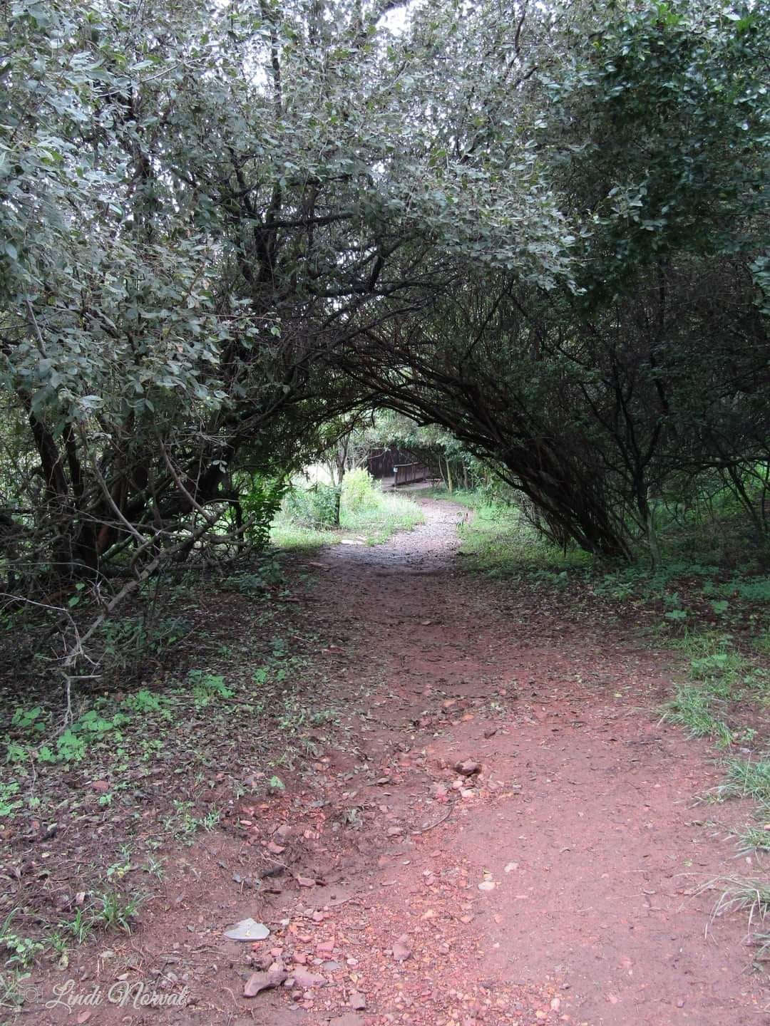 Moreleta Kloof Nature Reserve