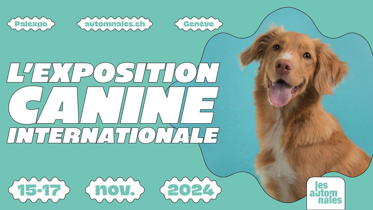 L'exposition canine internationale