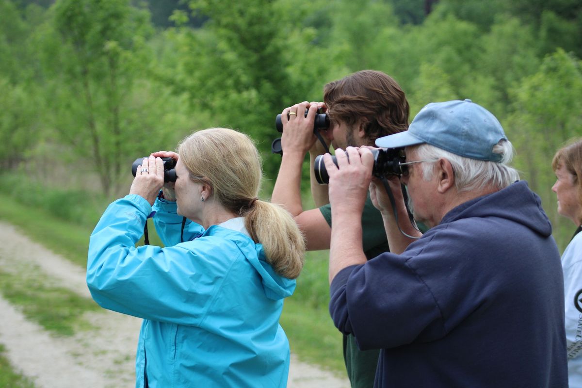 Bird Watching Walks