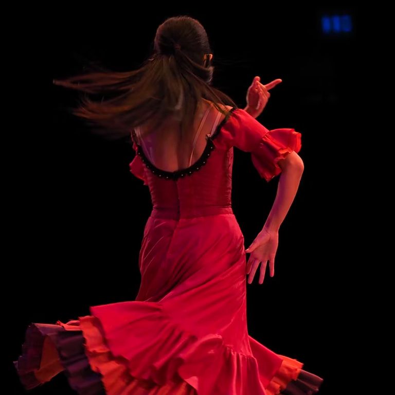 Espect\u00e1culo de flamenco en El Palacio Andaluz