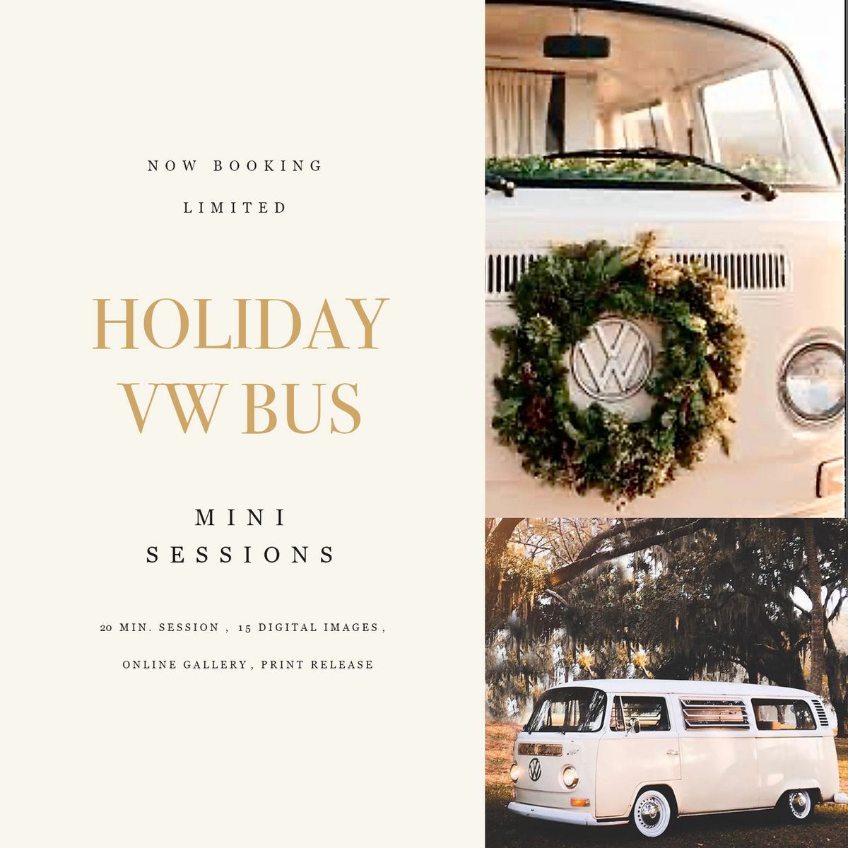 Holiday VW BUS 