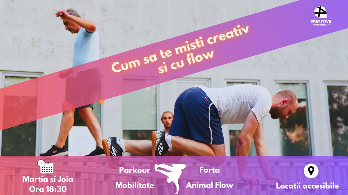 Cum sa te misti creativ si cu flow - Curs saptamanal