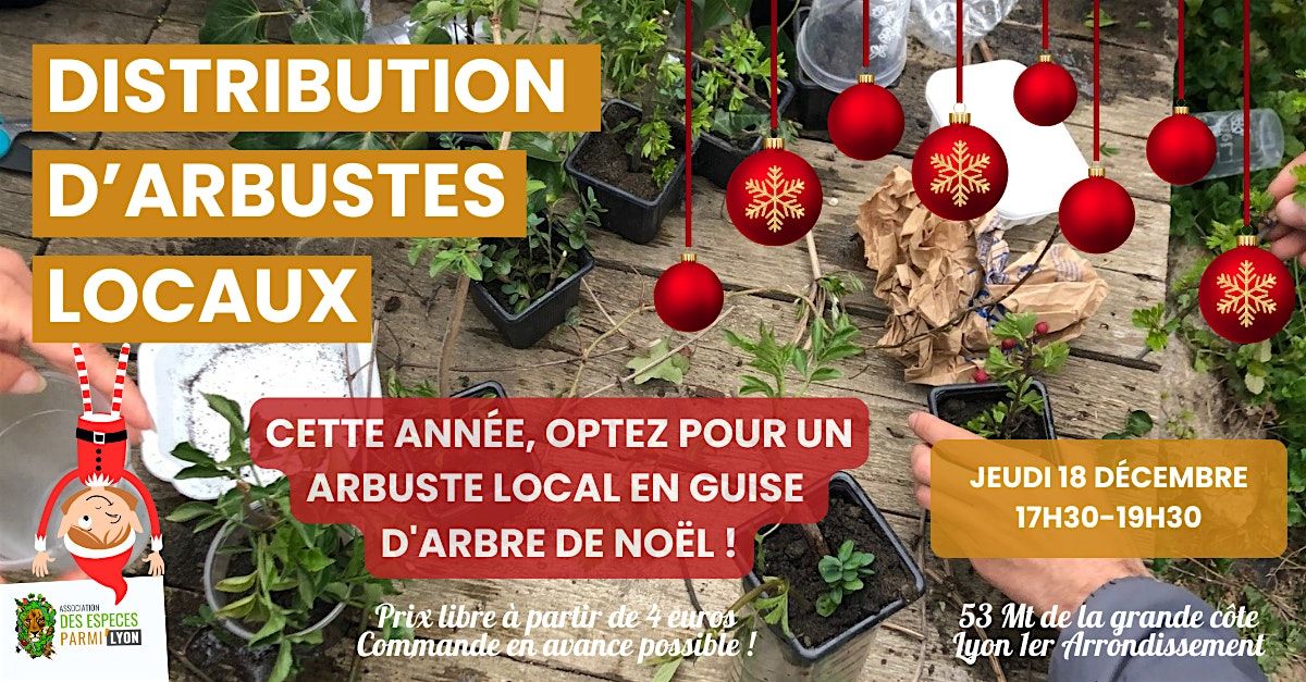 Distribution d'arbustes locaux