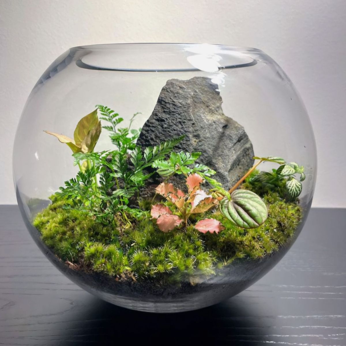 Terrarium Workshop 