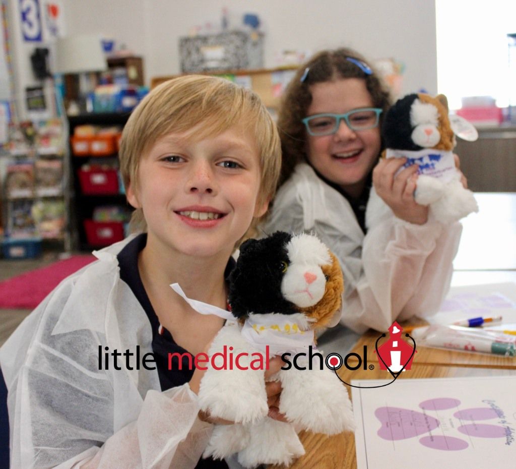 Little Veterinarian School - I am a Cat Vet! \u2013 Ages 7-11 Mckenzie Towne SE