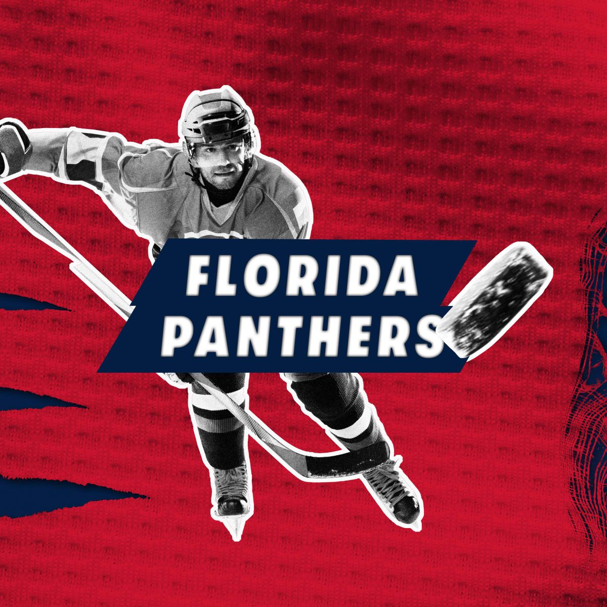 Anaheim Ducks at Florida Panthers at Amerant Bank Arena