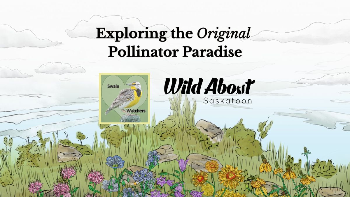 Exploring the Original Pollinator Paradise