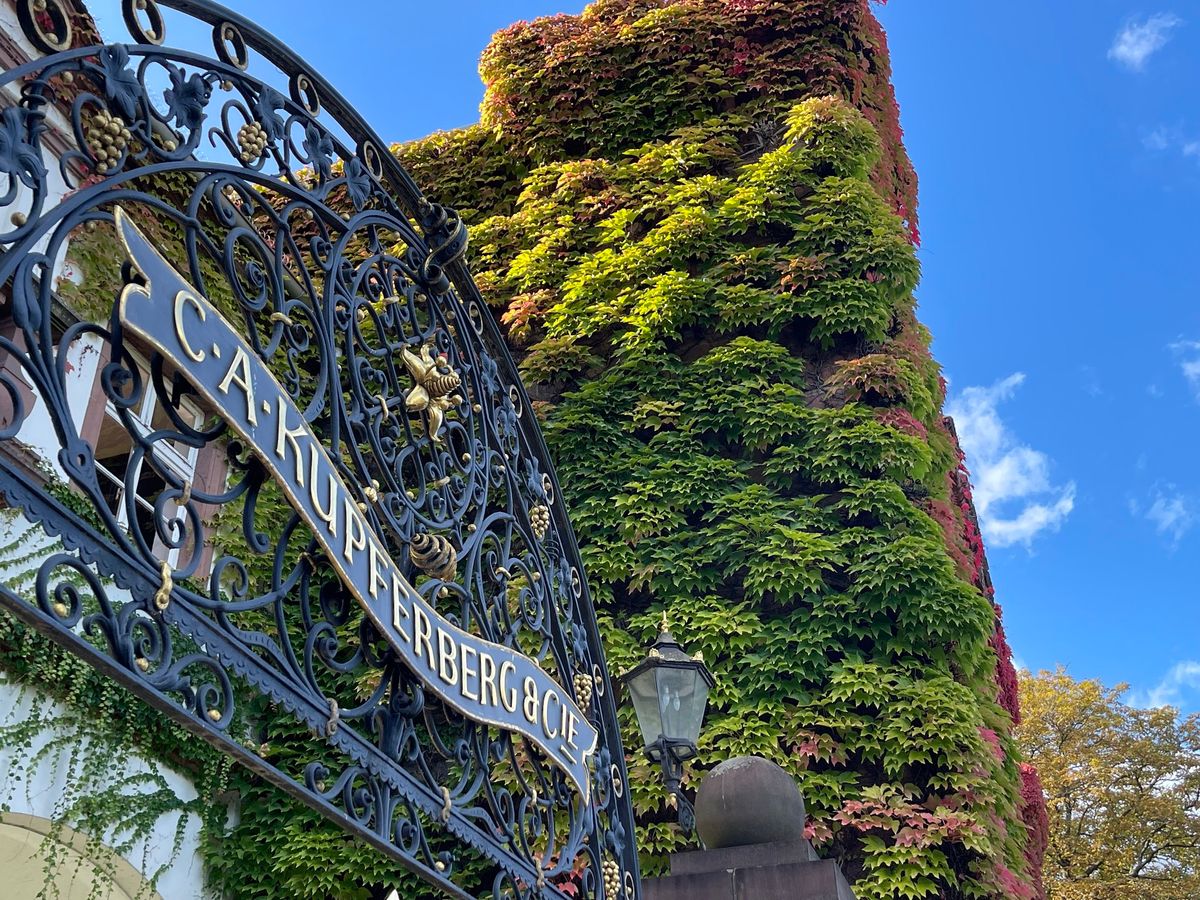  Avec Plaisir! Auf den Spuren franz\u00f6sischer Lebensart & Geschichte in Mainz