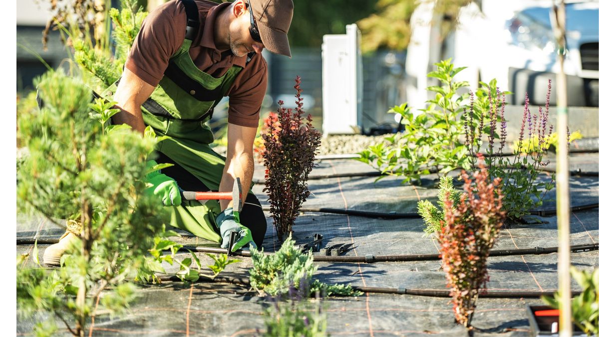 Free Microirrigation Class with David Outerbridge 