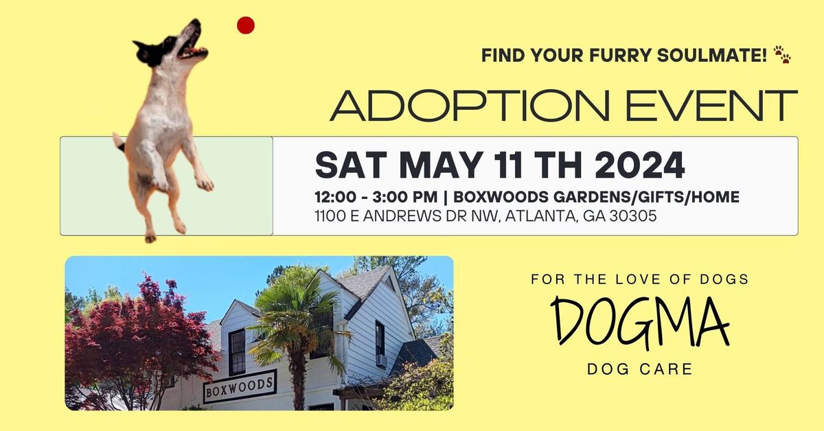 Boxwoods Adoption Event