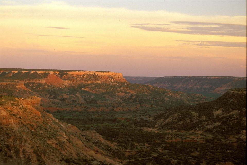 Slice of Palo Duro Pie