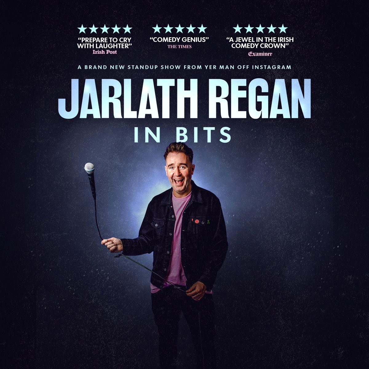 Jarlath Regan - "In Bits"