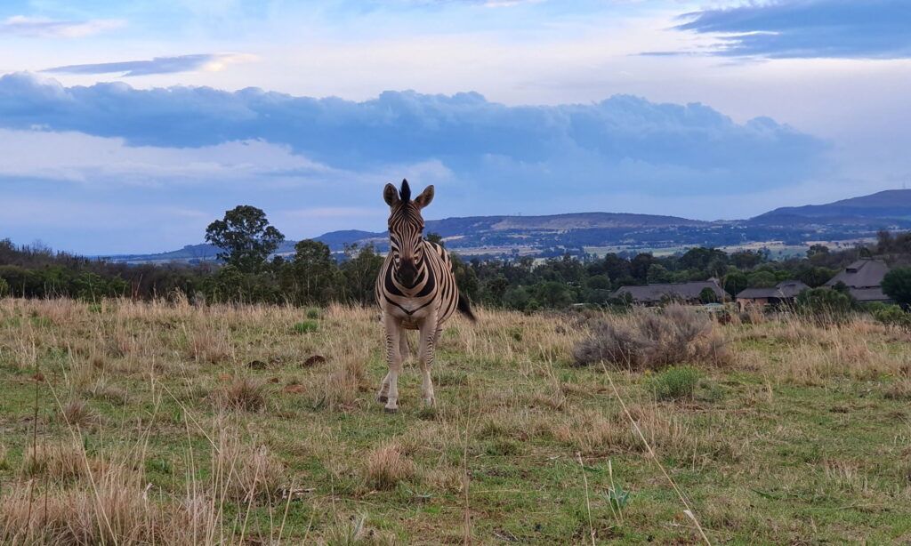 Thaba Day Hike