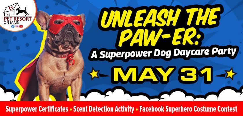 Unleash The PAW-ER: A Superpower Dog Daycare Party