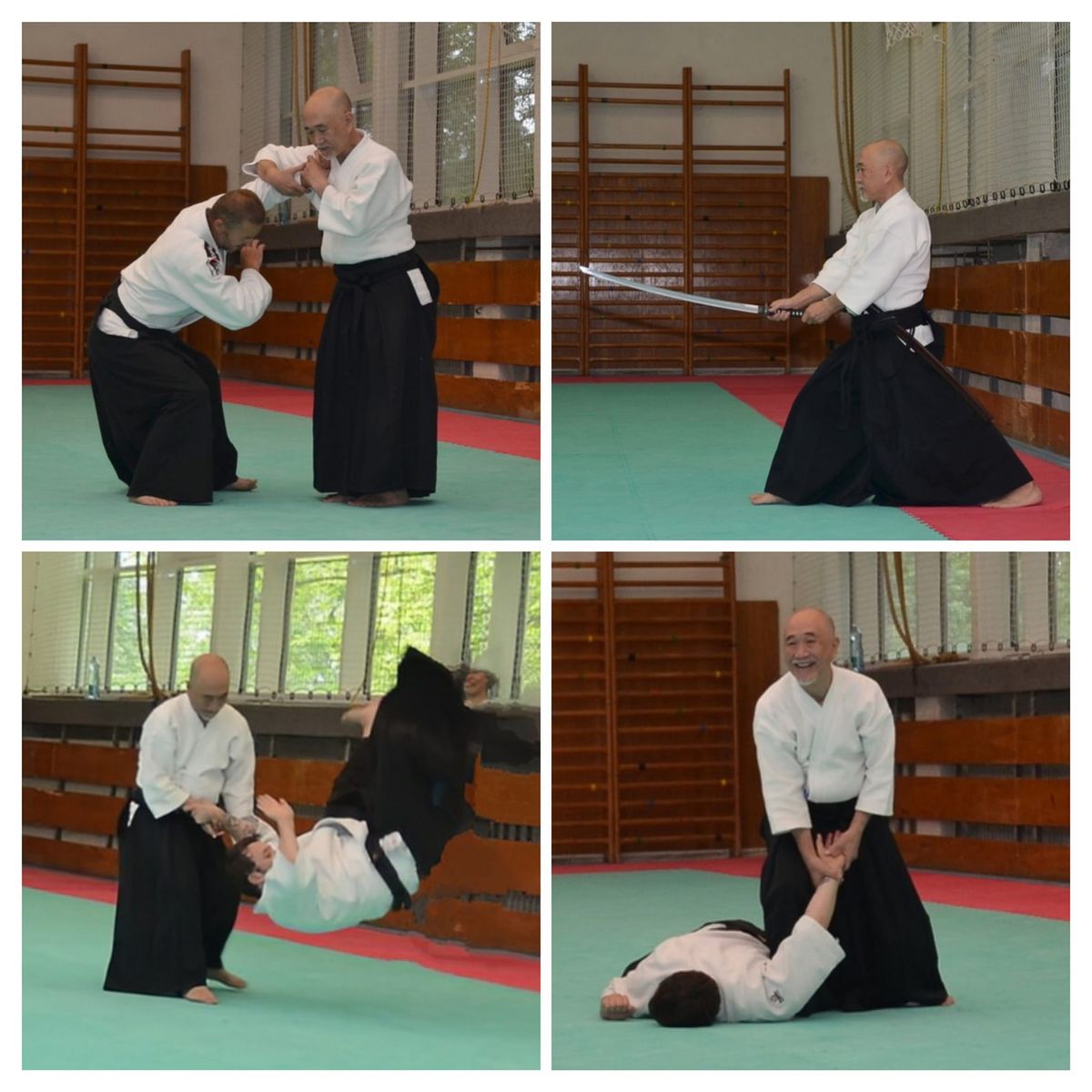 Aikido semin\u00e1\u0159 - Yutaka Iwakata sensei