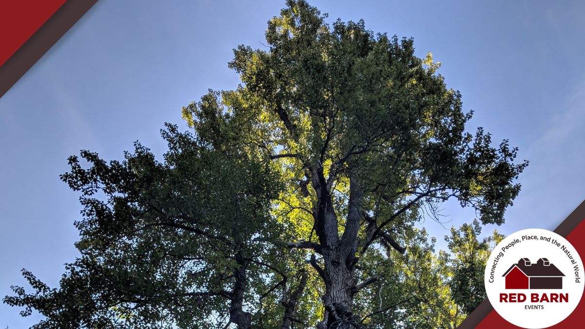 Red Barn Event: Cottonwoods - Unlocking Our Rivers' Histories