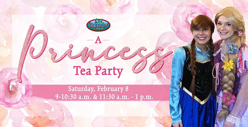 A Princess Tea Party