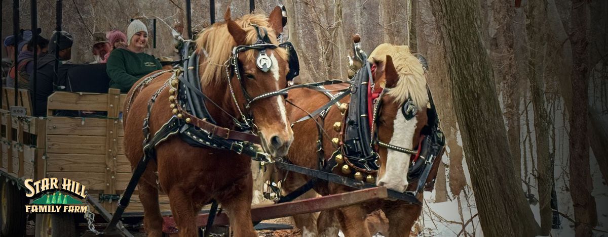 Horse-drawn Wagon Rides