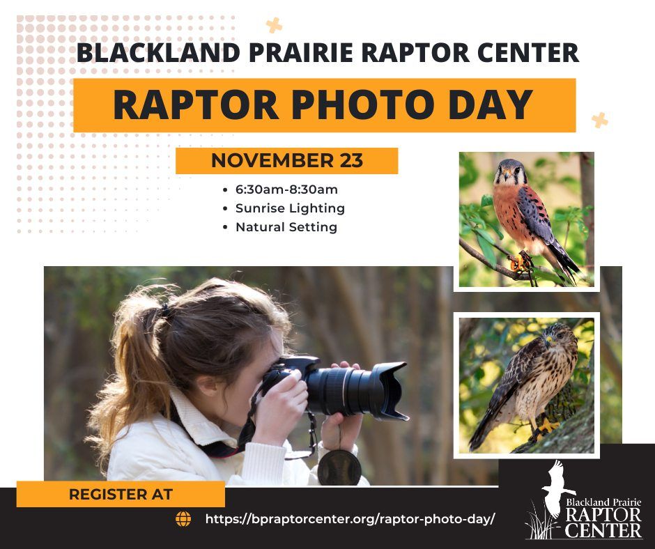 Raptor Photo Day