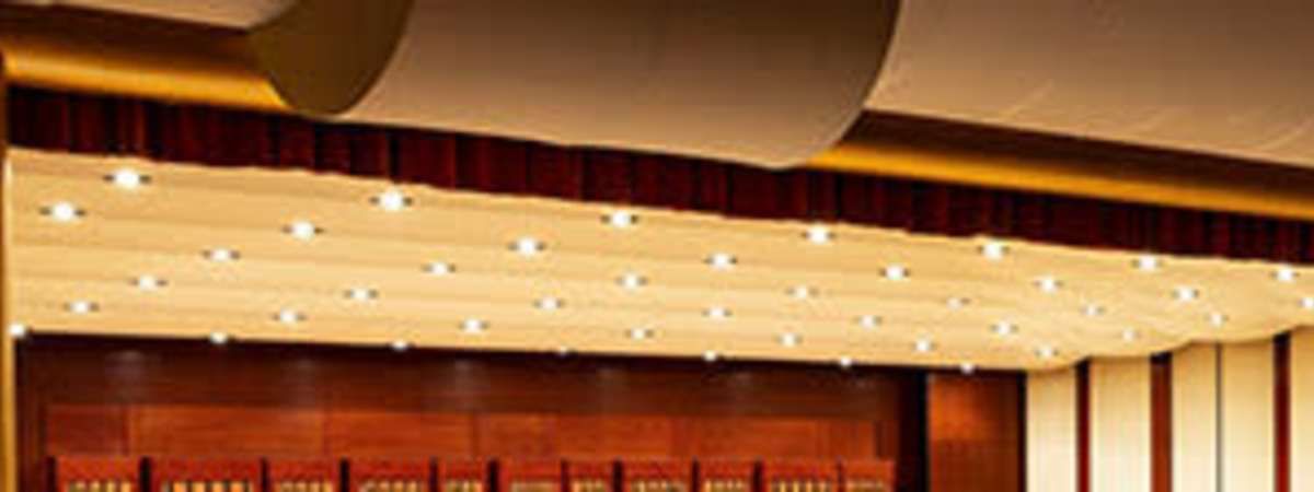 CSO on Tour: Frances Pew Hayes Hall, Artis-Naples