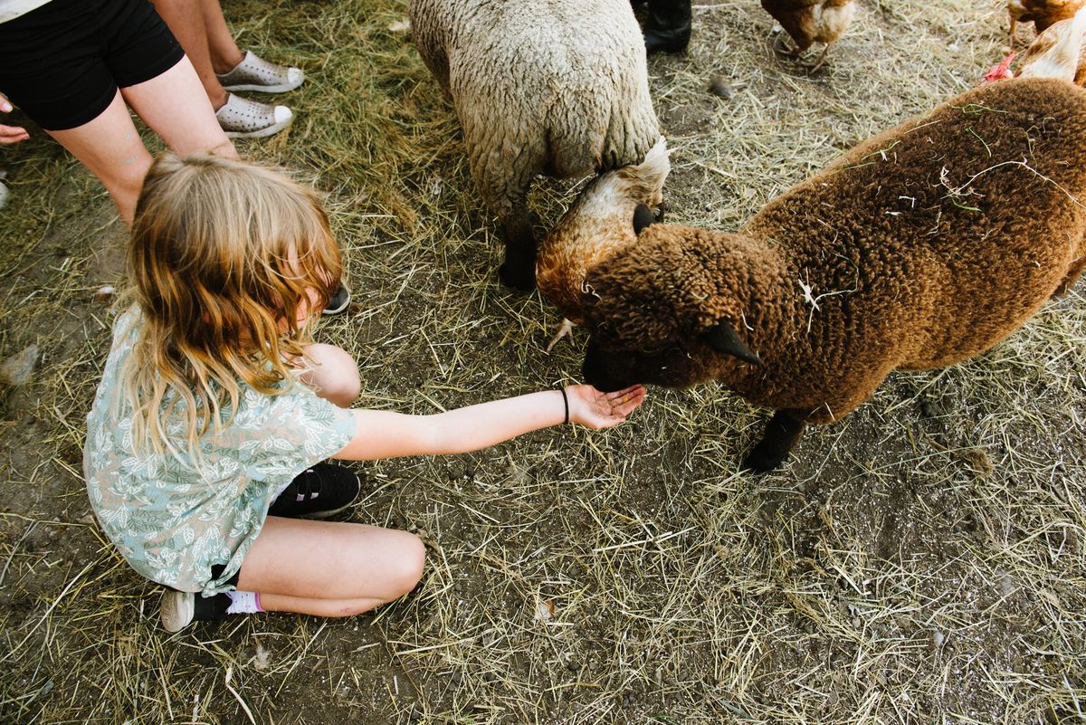 Spring Break Foodie Farm Camp, March 24-28